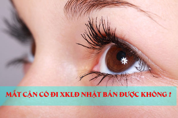 Thị Lực XKLĐ